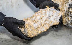 Los mineros subterráneos en el interior de Australia Occidental han desenterrado especímenes de oro extraños que los geólogos llaman un
