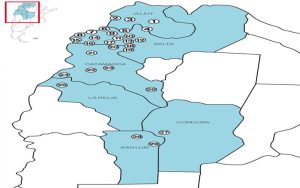 Los proyectos de litio en Argentina