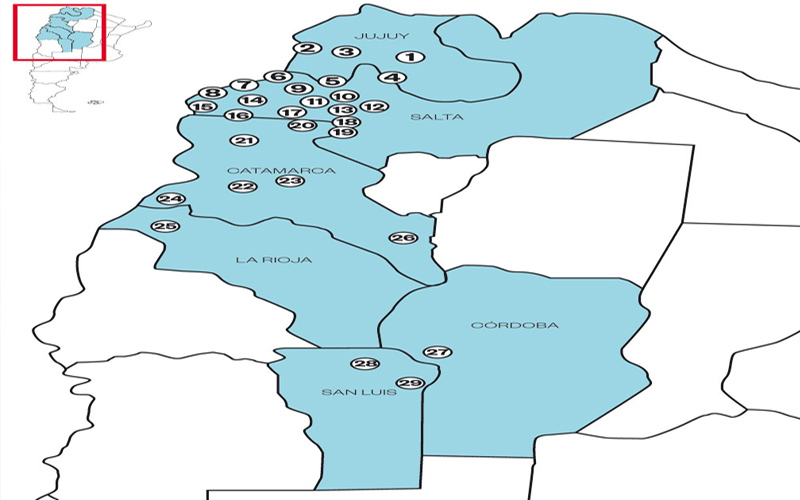 Los proyectos de litio en Argentina