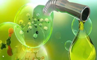 Bioenergía: ¿un suministro confiable de energía para el futuro?