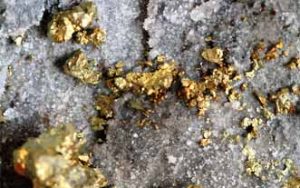 Australia trabaja para convertirse en el principal productor de oro