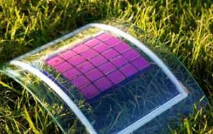 Plantas y bacterias incrementan eficiencia de células solares