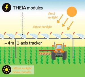 Las agrivoltaicas permiten la transición energética a través del uso dual de la tierra mientras mejora el rendimiento agrícola