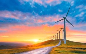 Energía eólica en México: construcción del parque eólico Delaro avanza en Tamaulipas