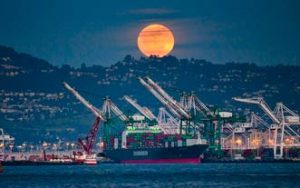 PMSA: Se incrementa en julio el número de importaciones en los principales puertos de EE.UU.