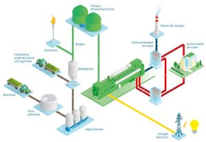 Esquema proceso de generación de biogás