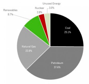 Figura 1. Mezcla energética de Japón