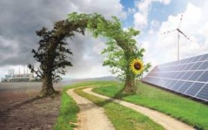 Las energías renovables de Asia Pacífico serán más baratas que el carbón para el 2030