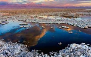 ¿Cuáles son los países productores de litio más grandes del mundo?