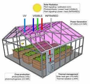 Esquema del montaje experimental