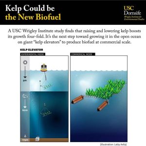 Diagrama que muestra el "elevador de algas" del equipo