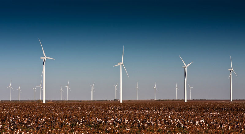 Aerogeneradores en un campo de algodón del oeste de Texas