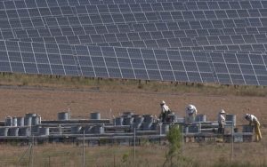 Iberdrola recoge los frutos de la miel solar del mayor colmenar fotovoltaico del mundo