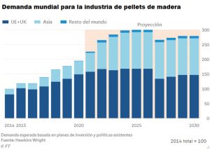 El dilema de la biomasa en la UE: ¿la quema de árboles puede ser ecológica?
