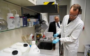 energia del pantano cientificos de estonia utilizan la turba para fabricar baterias grafica 13083