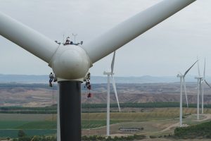 iberdrola pinta las palas de los parques eolicos y los vinila con ojos para proteger a las aves grafica2 13101