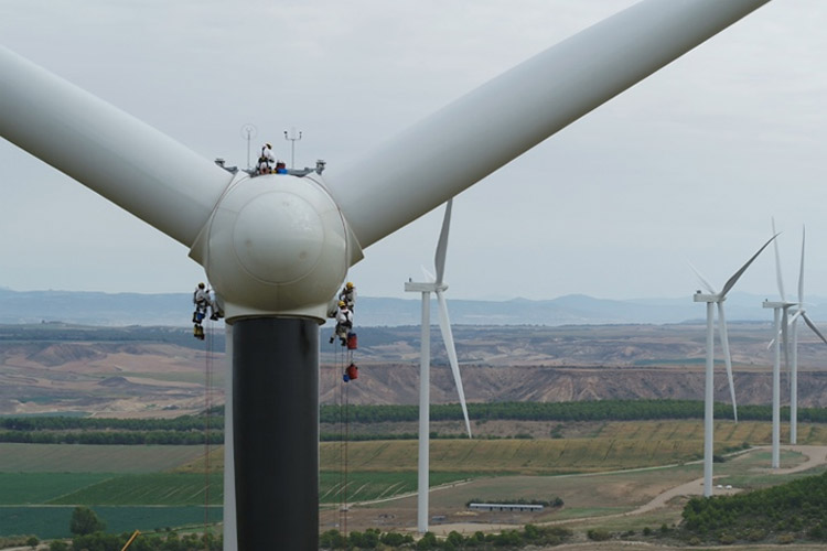 iberdrola pinta las palas de los parques eolicos y los vinila con ojos para proteger a las aves grafica2 13101