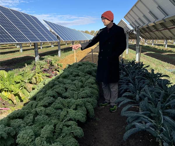 este jardin solar de colorado es literalmente una granja con paneles solares grafica 13464