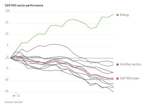 S&P 500 Desempeno del Sector