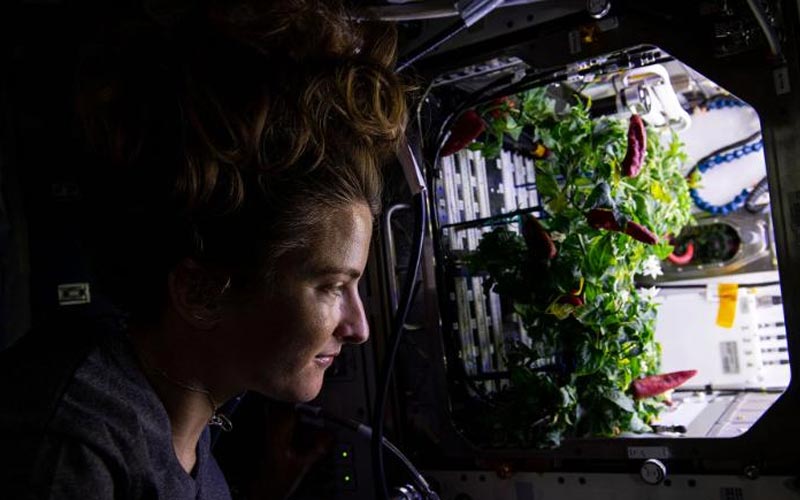 la estacion espacial internacional podria caer del cielo en 2031 que pasara despues grafica2 14289