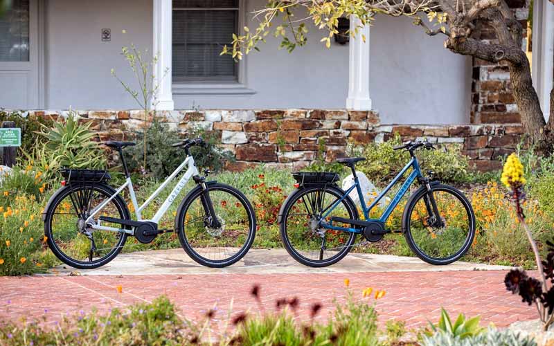 el pais en el que uno de cada tres adultos monta en bicicleta electrica grafica2 14555