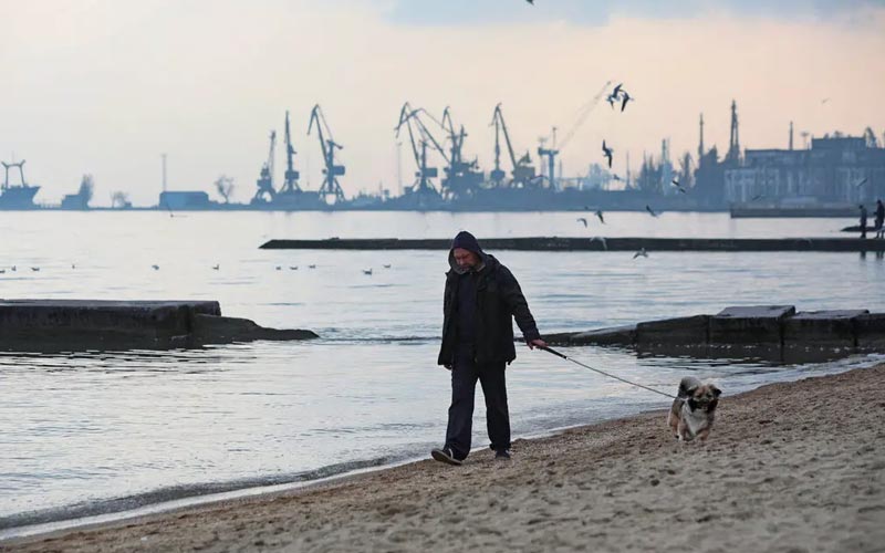 las sanciones rusas frenan el transporte maritimo pese a que la presion de la pandemia disminuye grafico2 14654