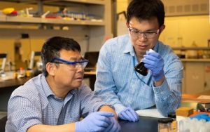 Una novedosa enzima artificial tiene el potencial para crear una nueva fuente de energía renovable