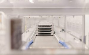 Las baterías de alto rendimiento para los EVs están pasando de los laboratorios a la producción en serie