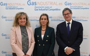 La fuerte destrucción de la demanda industrial de gas preocupa a las empresas españolas