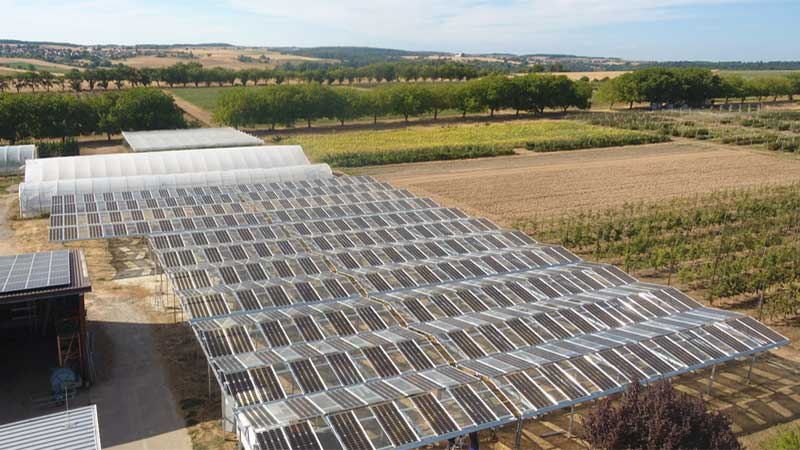 BayWa r.e. avanza en la agrovoltaica con cuatro nuevos proyectos piloto de cultivos frutales