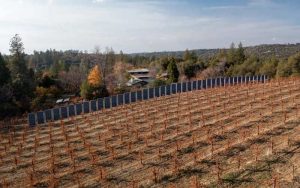 Estos nuevos sistemas solares verticales están especialmente diseñados para granjas