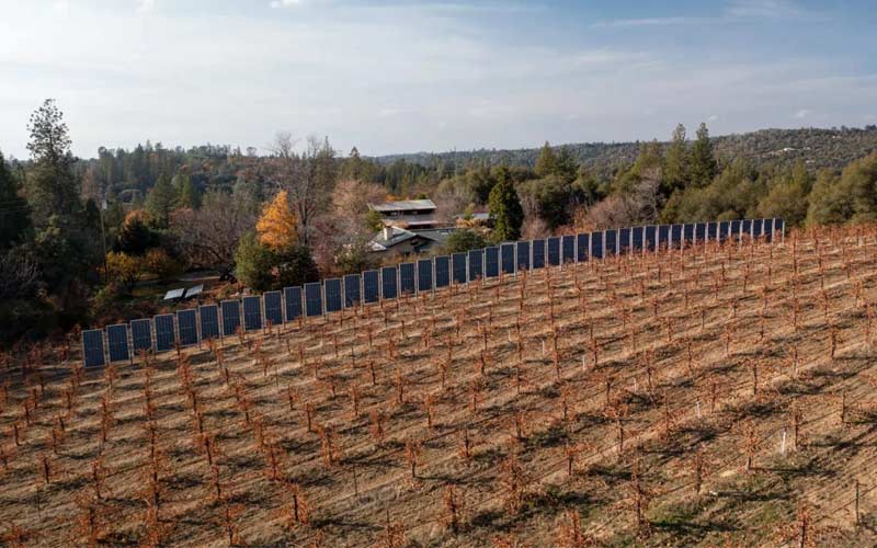 Estos nuevos sistemas solares verticales están especialmente diseñados para granjas