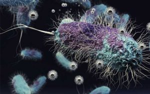 Liberando el poder de la fotosíntesis para producir energía limpia