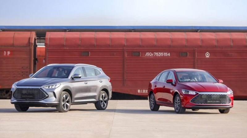 byd mayor vendedor de vehiculos 2023 grafico 19632