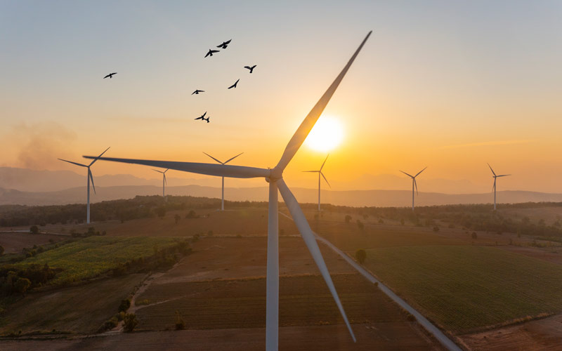 todos estamos llamados a frenar el cambio climatico grafico